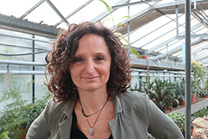 Ilaria Casillo